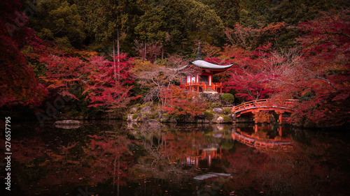 京都府 醍醐寺 紅葉