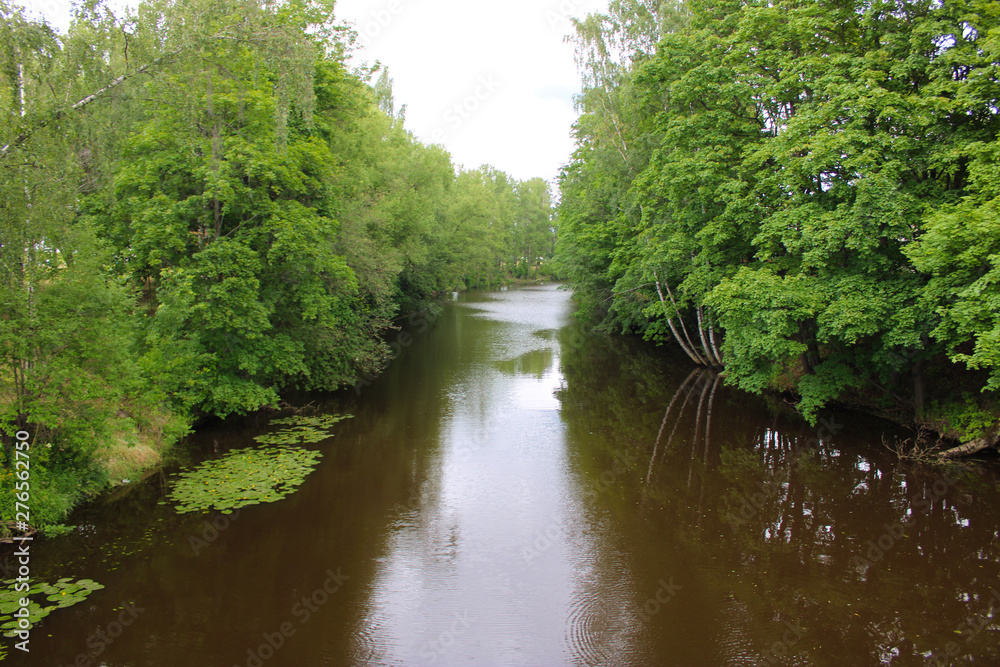 a small river with green vegetation on the banks