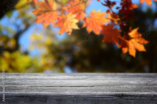 Beautiful blurred nature autumn forest background and empty wooden table.