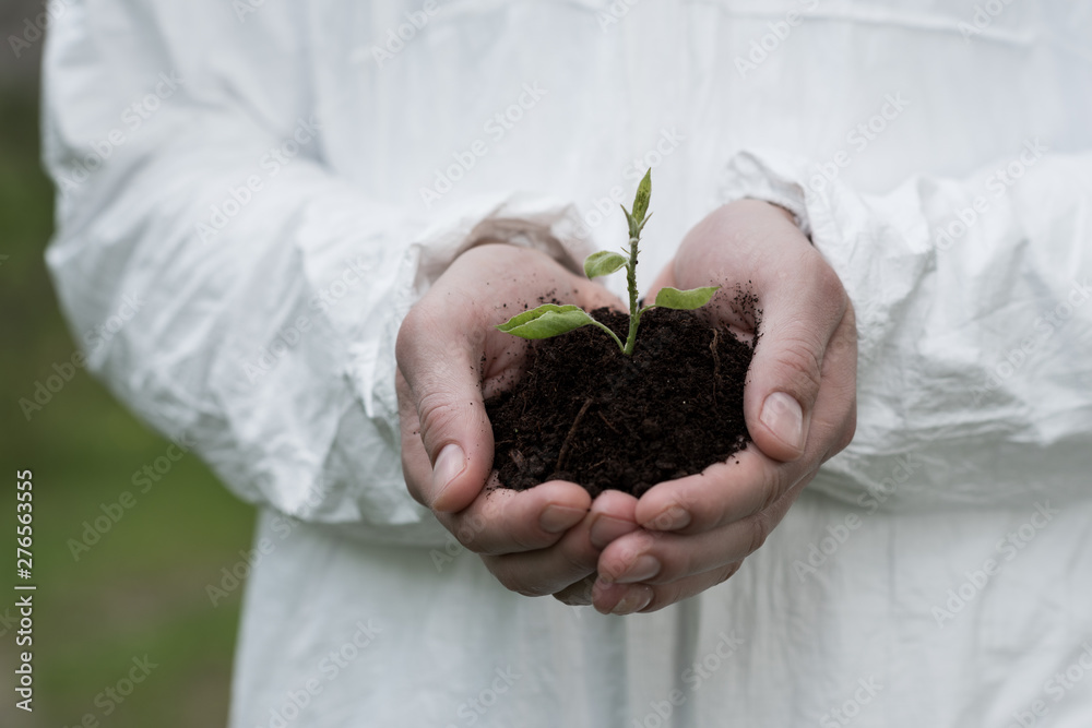 partial view of ecologist holding handful of soil with plant partial view of ecologist holding handful of soil with plant