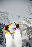 King penguin from Asahiyama zoo, Hokkaido, superimposed or double exposures with a scene from a ski resort in Niseko, Japan during a winter time.
