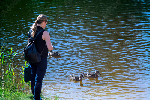 girl looks at the ducks