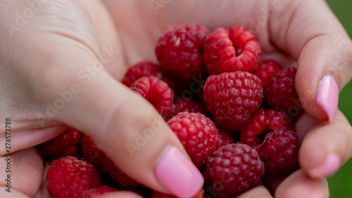 woman holding red raspberries in hands.