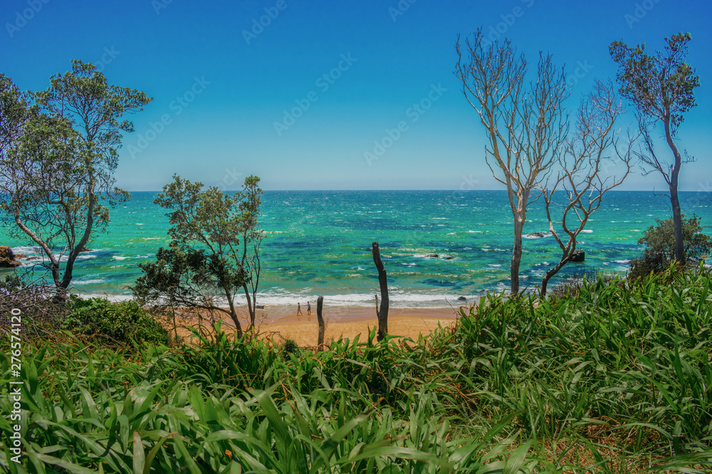 Plantas verdes, arena limpia, personas caminando y el mar de Australia en el horizonte