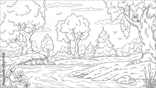 Coloring book landscape. Hand draw vector illustration with separate layers. © GabiWolf
