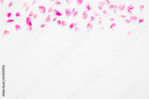abstract background with pink petals