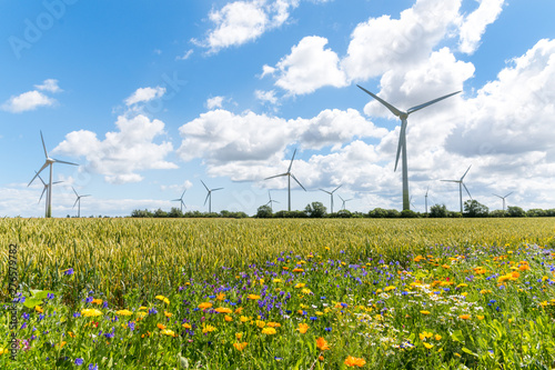 Schilderij op canvas Blühende Wiesen, blühendes Feld, blühender Weg, um Insektensterben und Tötung zu verhindern und entgegenzuwirken