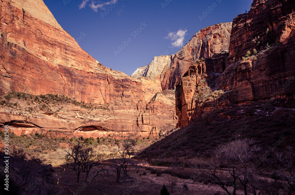 Zion national park hiking