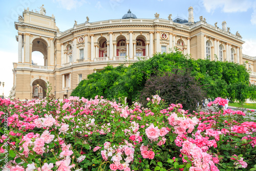 Odessa garden with pink roses with Odessa ballet and opera house in Odessa, Ukraine