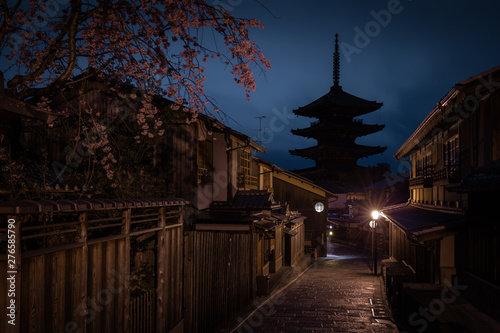 京都府 八坂の塔 桜 夜景
