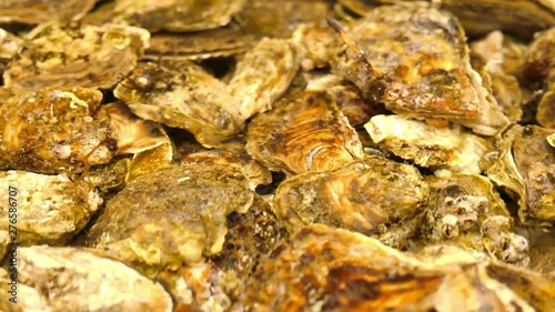 close up of oysters
