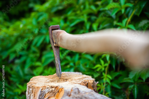 Old axe in stump. Axe pounded in the trunk of tree with green plants in the background. Woodworking tool.