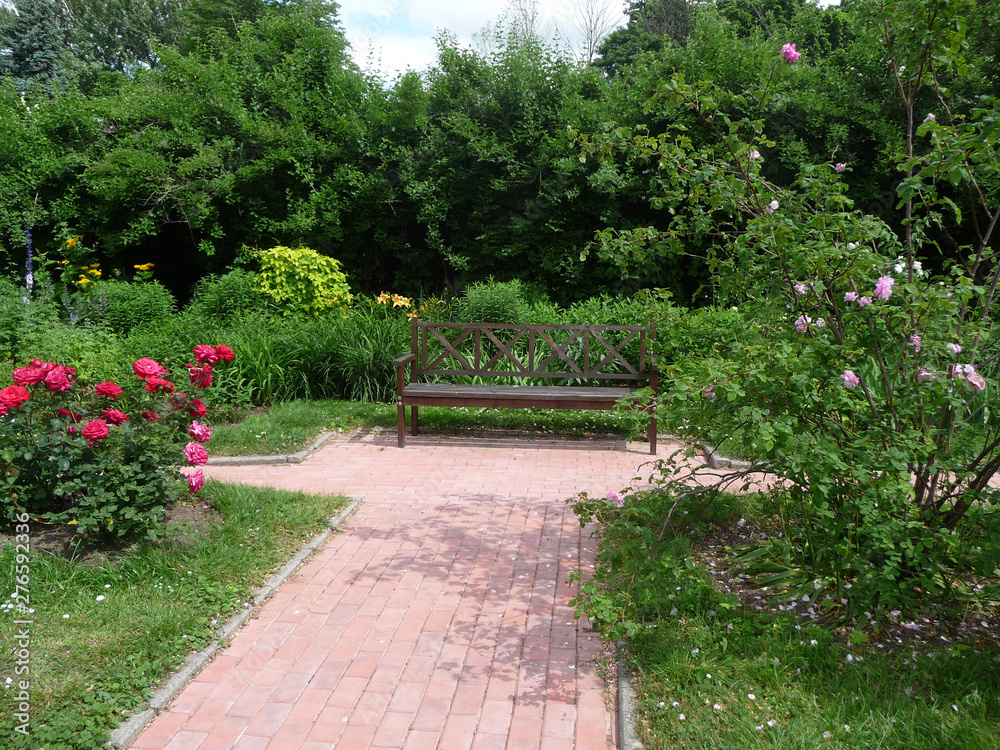 A bench in the garden