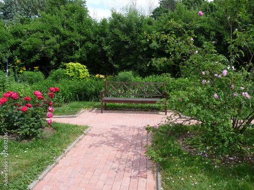 Fototapeta Naklejka Na Ścianę i Meble -  A bench in the garden