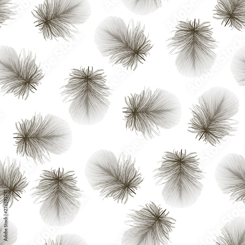 Seamless pattern with feathers. Vector illustration.