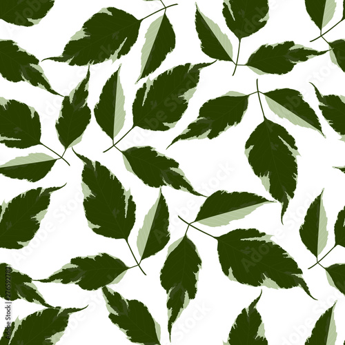 Seamless pattern with leaves. Vector illustration.