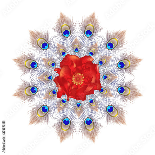 Beautiful card with feather peacock and  with Rose flower. Card of mandala. Bright illustration. Pattern kaleidoscope, india. vector illustration.