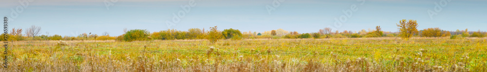 Panorama of a large autumn meadow on cloudy day