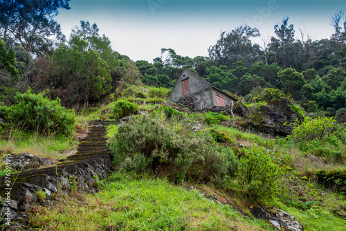 Levada do Canical near Machico on the Island of Madeira. Leavdas are irrigation channels specific to the island.