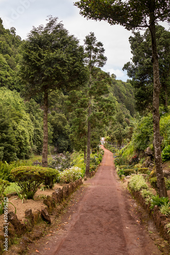 Fototapeta Naklejka Na Ścianę i Meble -  Botanical garden in Nordeste, Sao Miguel
