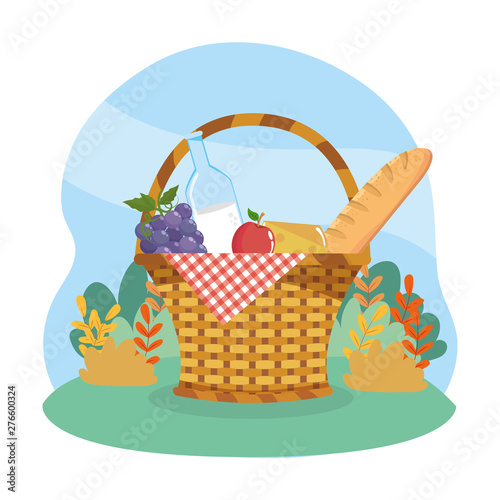 hamper with grapes and milk bottle with apple and bread