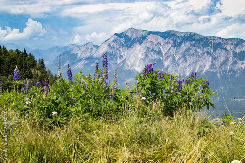 Gipfel des Dobratsch vom Dreiländereck gesehen