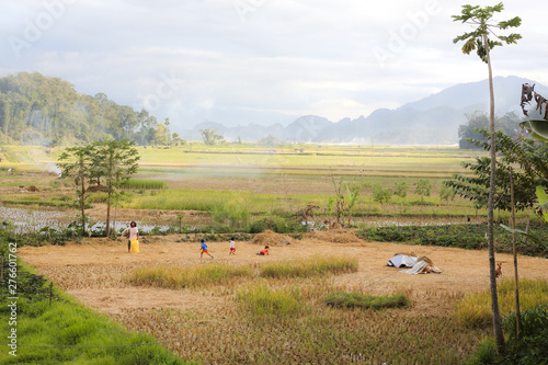 Escena costumbrista en indonesia, niños jugando en los campos mientras madre trabaja photo