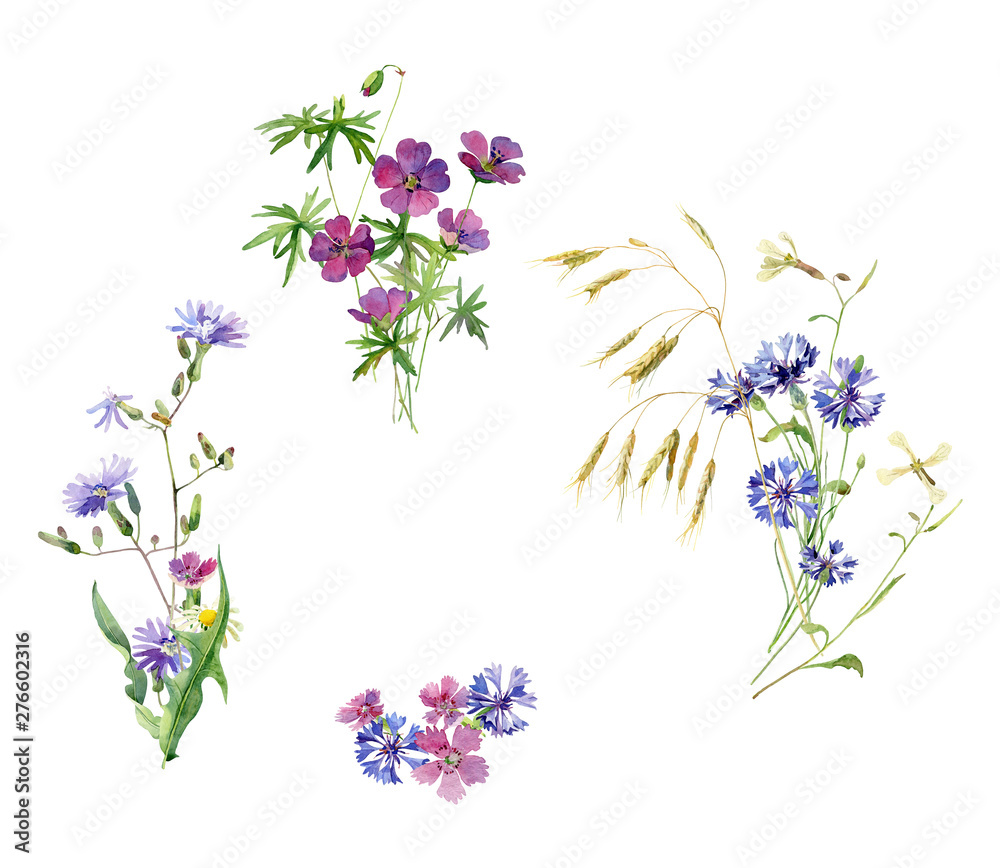Small watercolor bouquets of wild flowers on a white background. For congratulations, invitations, holiday, wedding, birthday Small watercolor bouquets of wild flowers on a white background. For congratulations, invitations, holiday, wedding, birthday