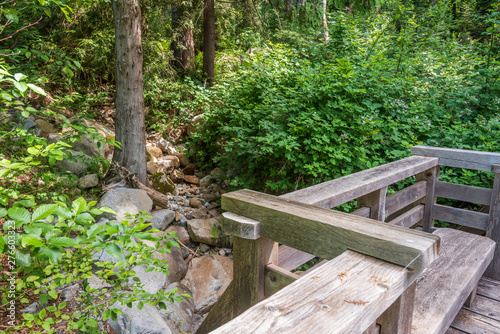 View at Trail in Park in Vancouver  Canada.