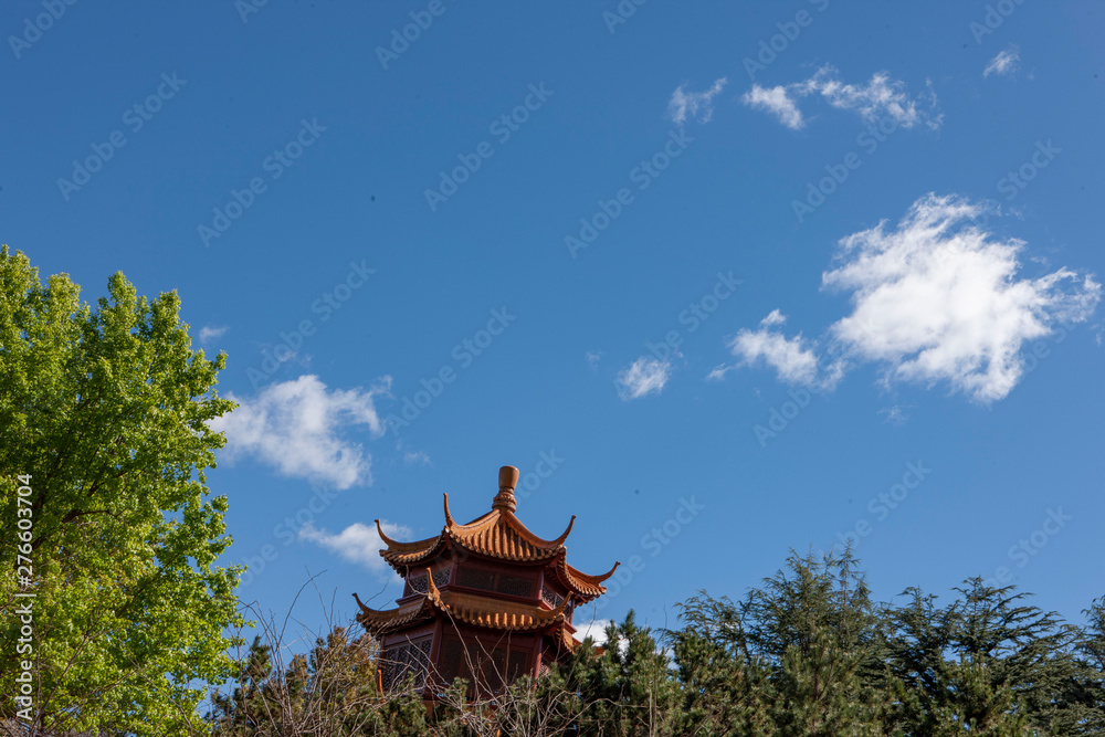Sydney Australia. Bird art. China town. Chinese tower. Sydney Australia. Bird art. China town. Chinese tower.