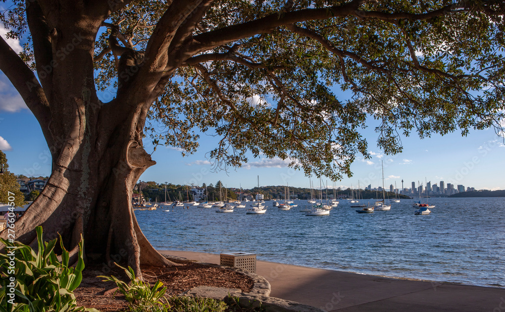 Sydney Australia. Watson Bay gaps bluf