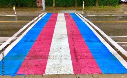 Transsexual Flag crosswalk on a rainy day during Pride. 