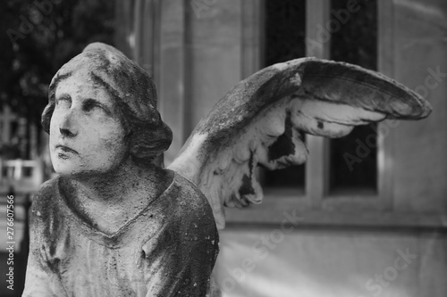Escultura de ángel mirando al cielo en el cementerio