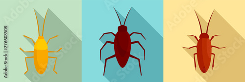 Cockroach icons set. Flat set of cockroach vector icons for web design © anatolir