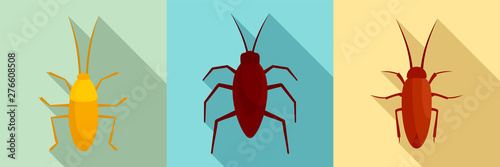 Cockroach icons set. Flat set of cockroach vector icons for web design