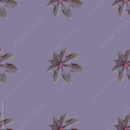 Seamless repeating pattern from ricinus communis photo