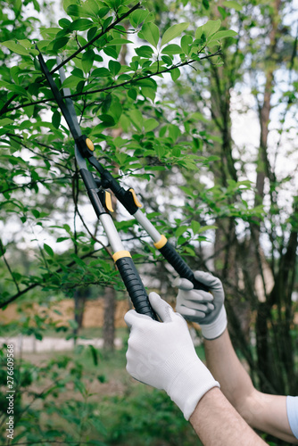 partial view of gardener in gloves pruning trees with trimmer in garden