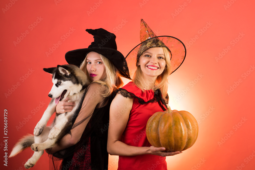 Two sexy Halloween girls with pumpkin. Festive halloween design. Emotional  young women in halloween costumes on party orange background with pumpkin.  Best friends girls celebrates thanksgiving day. Photos | Adobe Stock