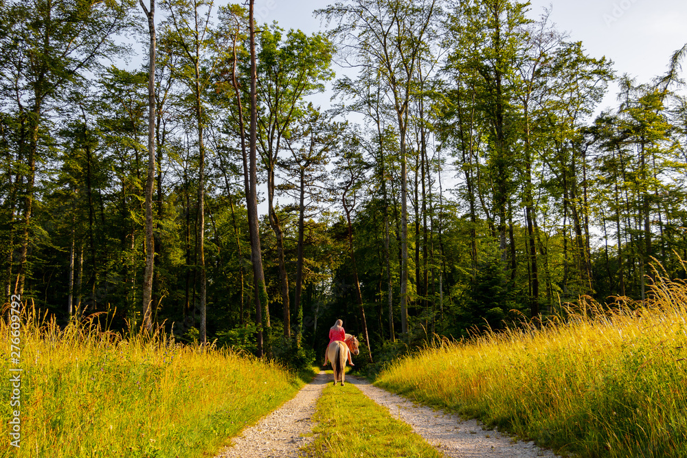junge blondhaarige Frau im roten Sommerkleid reitet auf Norwegischem Fjordpferd in den saftig grünen Wald hinein. Auf einem Pferd in den Wald reiten bei Sonnenschein im Sommer junge blondhaarige Frau im roten Sommerkleid reitet auf Norwegischem Fjordpferd in den saftig grünen Wald hinein. Auf einem Pferd in den Wald reiten bei Sonnenschein im Sommer