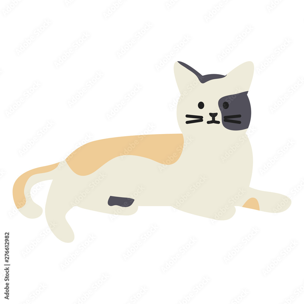 cute cat mascot adorable character