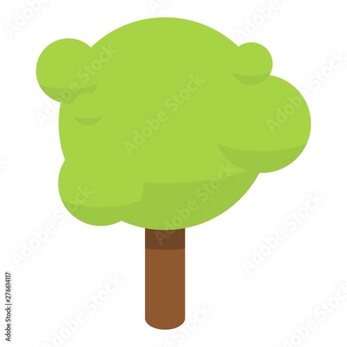 Park tree icon. Isometric of park tree vector icon for web design isolated on white background
