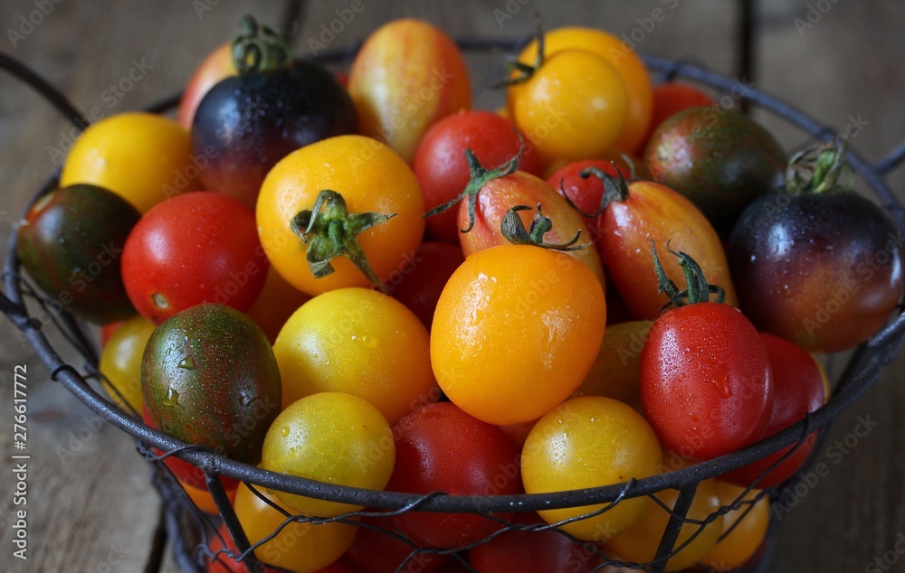 cherry tomatoes are different varieties in the basket, small tomatoes of different colors and types. cherry tomatoes are different varieties in the basket, small tomatoes of different colors and types.