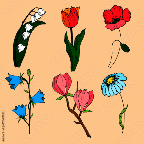 stems with flowers in color