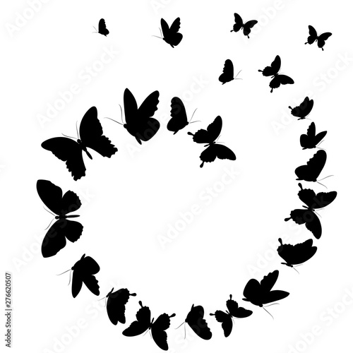butterfly123