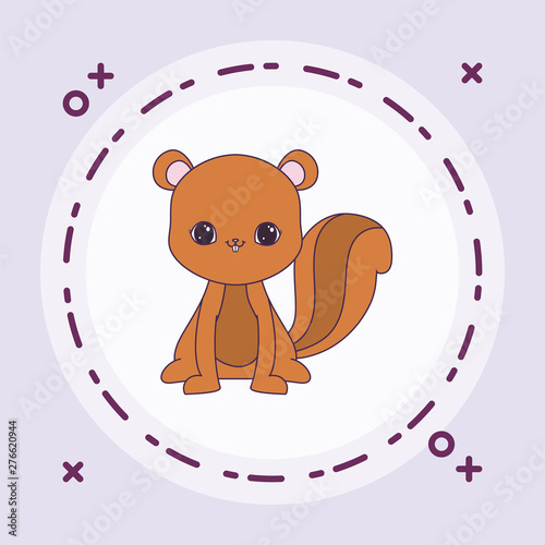 cute chipmunk animal with frame circular