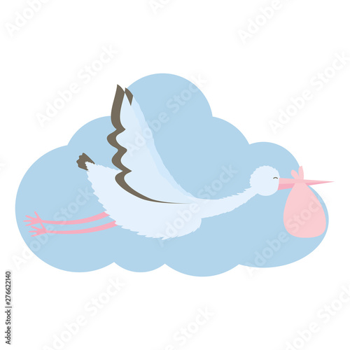 stork bird flying with bag in cloud