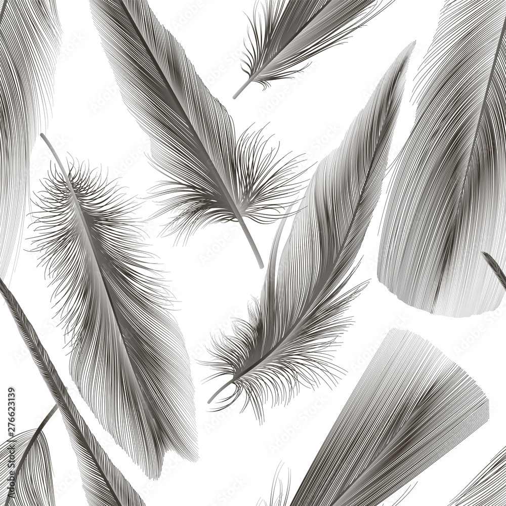 Obraz premium Seamless pattern with a feather. Vector illustration. 