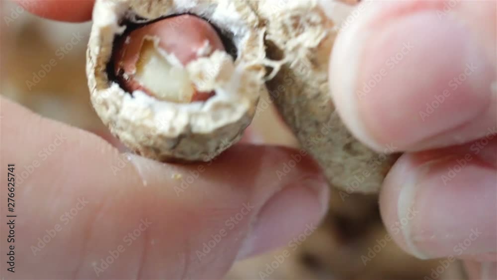 Dry peanuts in the skin in the fingers of a man extremely close-up, real time, contains people Dry peanuts in the skin in the fingers of a man extremely close-up, real time, contains people