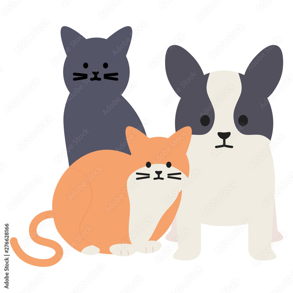 cute cats and dog mascots adorables characters