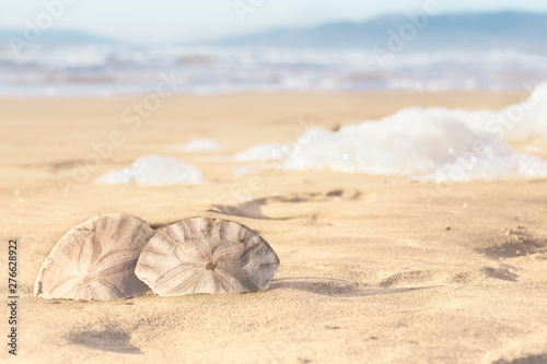 Two seashells lie on the sand close up. In the background in defocus sea foam and waves. Copy space. Concept of vacation, holidays abroad by the sea, travel packages, summer travel.